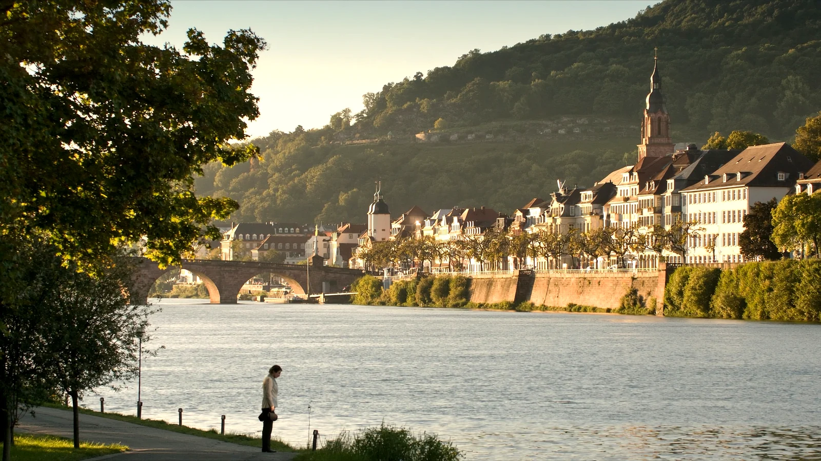 Heidelberger Altstadt und Alte Brücke am Neckar
